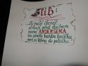 Noc s Andersenem