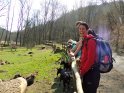 alpnach_70